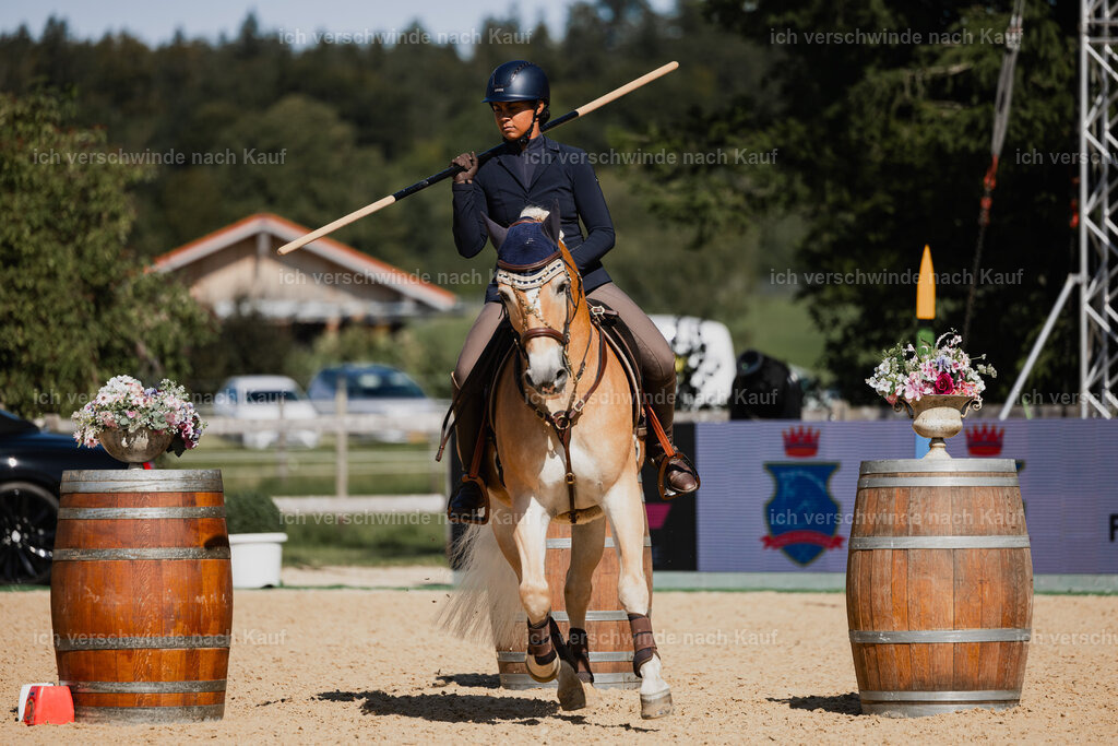 Tanesha5FHC2025-27412 | working equitationturnier fotograf videograf stoibphotography marixx film working equitation deutschland reitsport turnierfotografie eventfotografie equestrian events