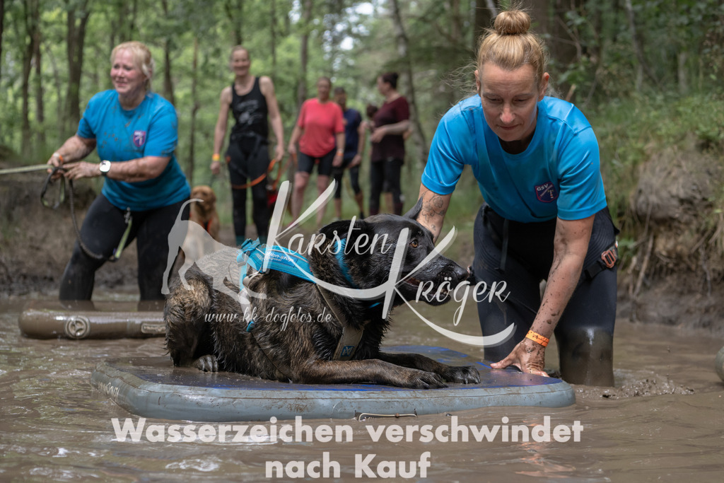 1332_ZZ94446 | kk-dogfotos
