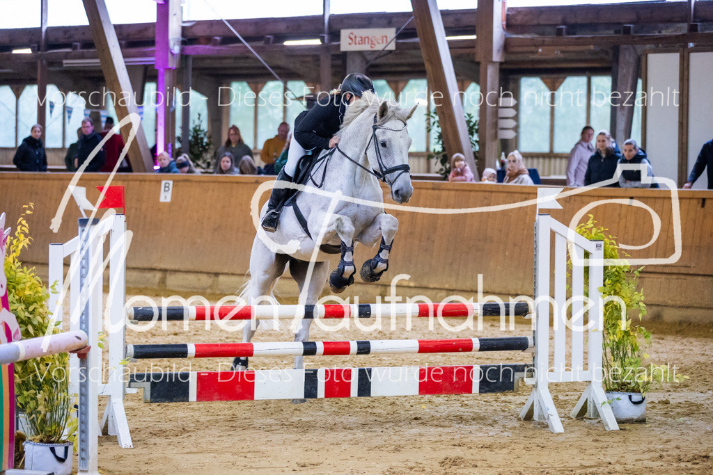 Sth-A-Spr.m.st.A.-048 | MomenTaufnahmen Pferdesportfotos