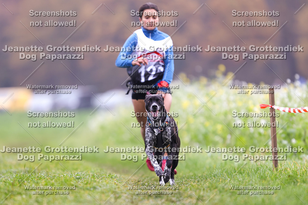 Dog Paparazzi - Visbeck 25 -337 | Dog Paparazzi Jeanette Grottendiek Fotografie & Videografie - Realisiert mit Pictrs.com