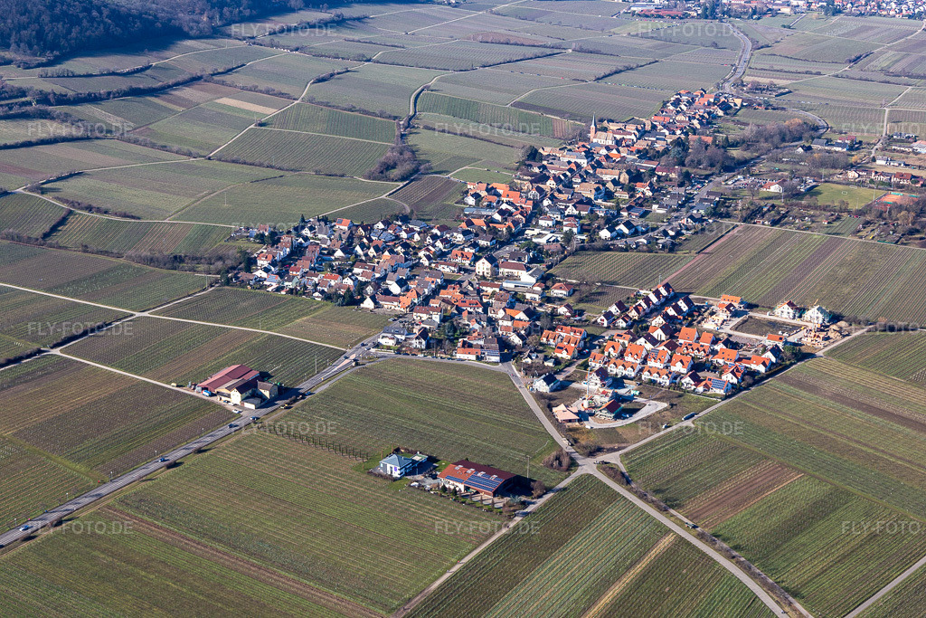 Luftbild: Weinbergen in Forst an der Weinstraße im Bundesland Rheinland-Pfalz in Deutschland. Foto: IMG_125372.jpg vom 21.02.2021 durch Werner Riehm/FLY-FOTO.de