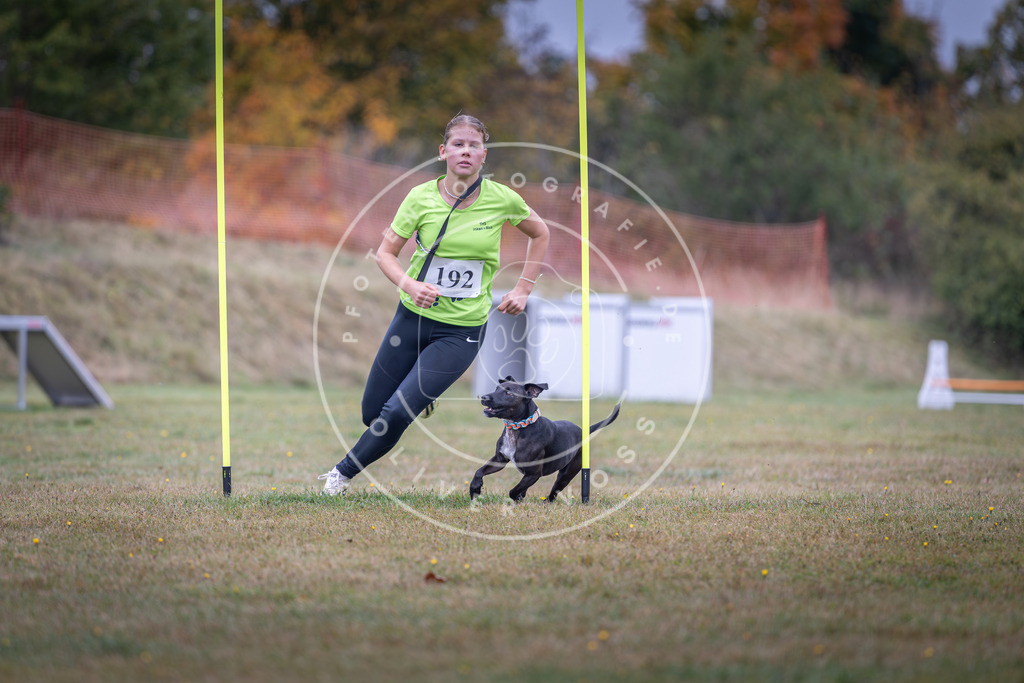 Pfotenfotografie_DV3A0874 | Hundefotografie, Tierfotograf, Pfotenfotografie, Fotoshooting Hund, Hunde Portrait, Hundesport, Hundeportraits, Heideshooting, Hunde, Sportfotograf, Hundefotograf, Turnierhundsport, THS,  - Realisiert mit Pictrs.com