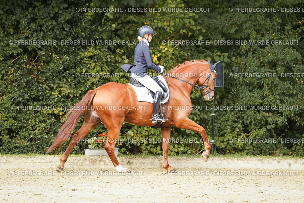 DSC02845 | Pferdegrafie