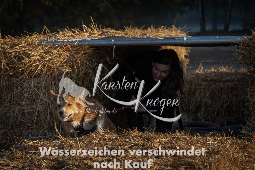 0919_ZZ92408 | kk-dogfotos