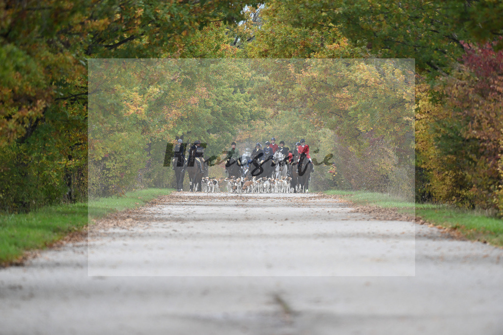5622054 | hf-fotografie - Realizzato con Pictrs.com