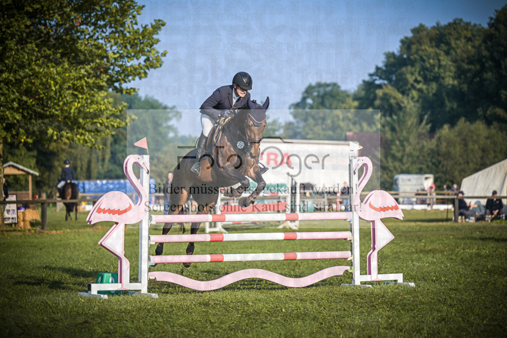 DOS_0253 | Entdecke hochwertige Reitturnierfotos von Foto Oger. Professionell, emotional und authentisch – jetzt Lieblingsmomente im Shop bestellen.Deutschlandweite Turnierfotografie. - Realisiert mit Pictrs.com