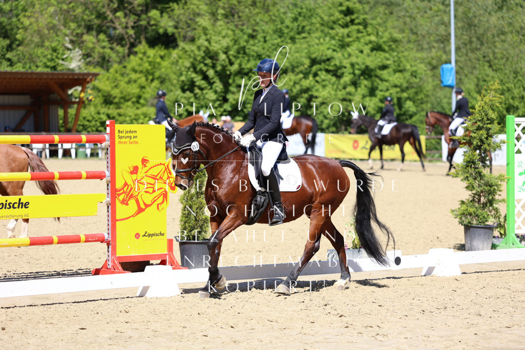 IMGS1292 | pl-fotografie