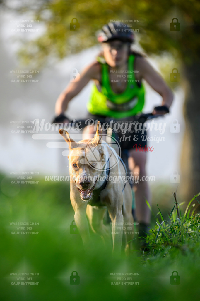 MompixPhotography_20TSB_E3_Bike-76 | PayLife