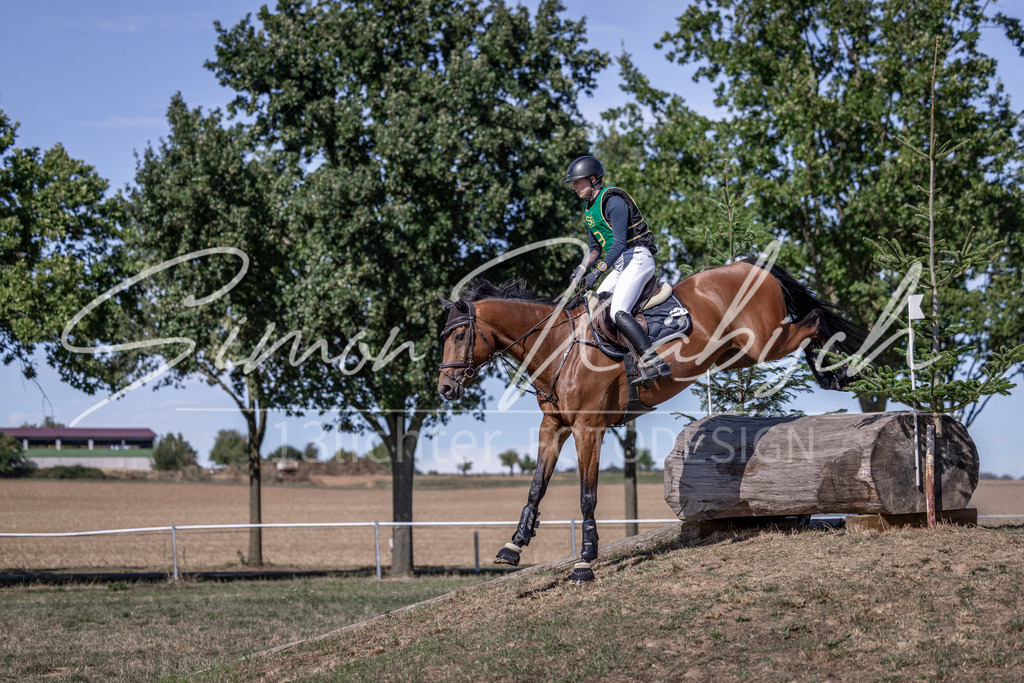 20260906-_3LI5599 | Tierfotografie Pferde, Hunde, Katzen, Haustiere.
Turnierfotografie Reitturniere, Reiten, Springreiten, Dressur in Hanau, dem Main-Kinzig-Kreis und dem Rhein-Main- Gebiet um Frankfurt