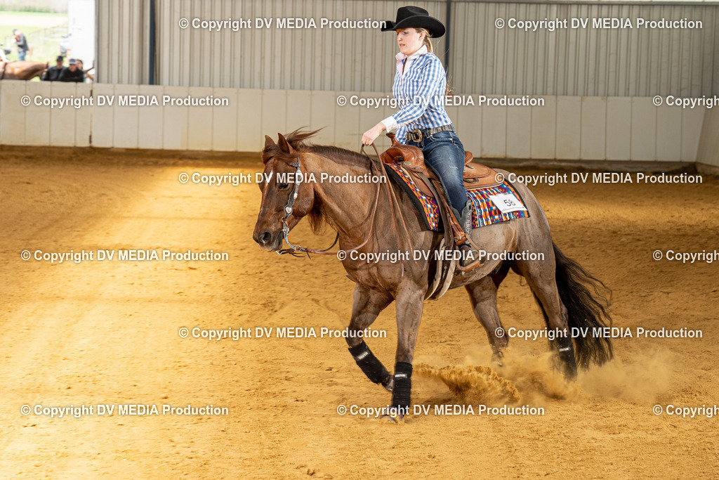 MIT00281 | dv-media-shop - Realisiert mit Pictrs.com