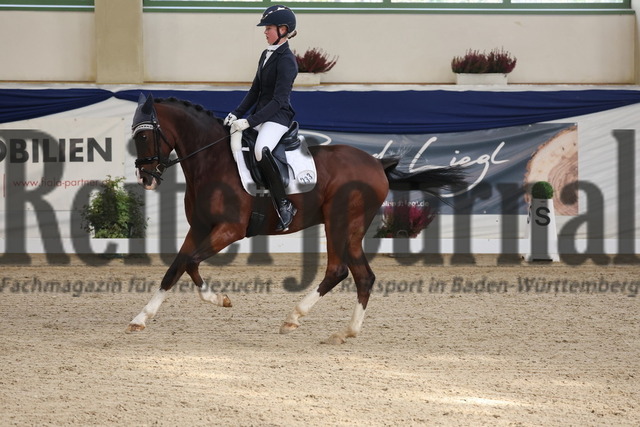 Ising_2025_Prfg.Nr.20_Pony-Dressurprfg.Kl.L_Kür_Valentina Sedlmayer_Der Duke 2 (4) | Alle Fotos der Reiterjournal Fotografin Doris Matthaes im Reiterjournal Online-Fotoshop. - Realisiert mit Pictrs.com