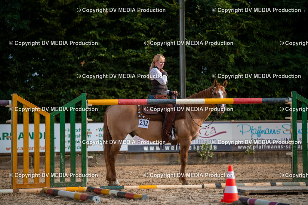 ZS3_9060 | dv-media-shop - Realisiert mit Pictrs.com