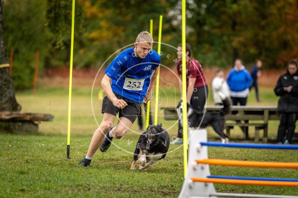 Pfotenfotografie_DV3A0510 | Hundefotografie, Tierfotograf, Pfotenfotografie, Fotoshooting Hund, Hunde Portrait, Hundesport, Hundeportraits, Heideshooting, Hunde, Sportfotograf, Hundefotograf, Turnierhundsport, THS,  - Realisiert mit Pictrs.com