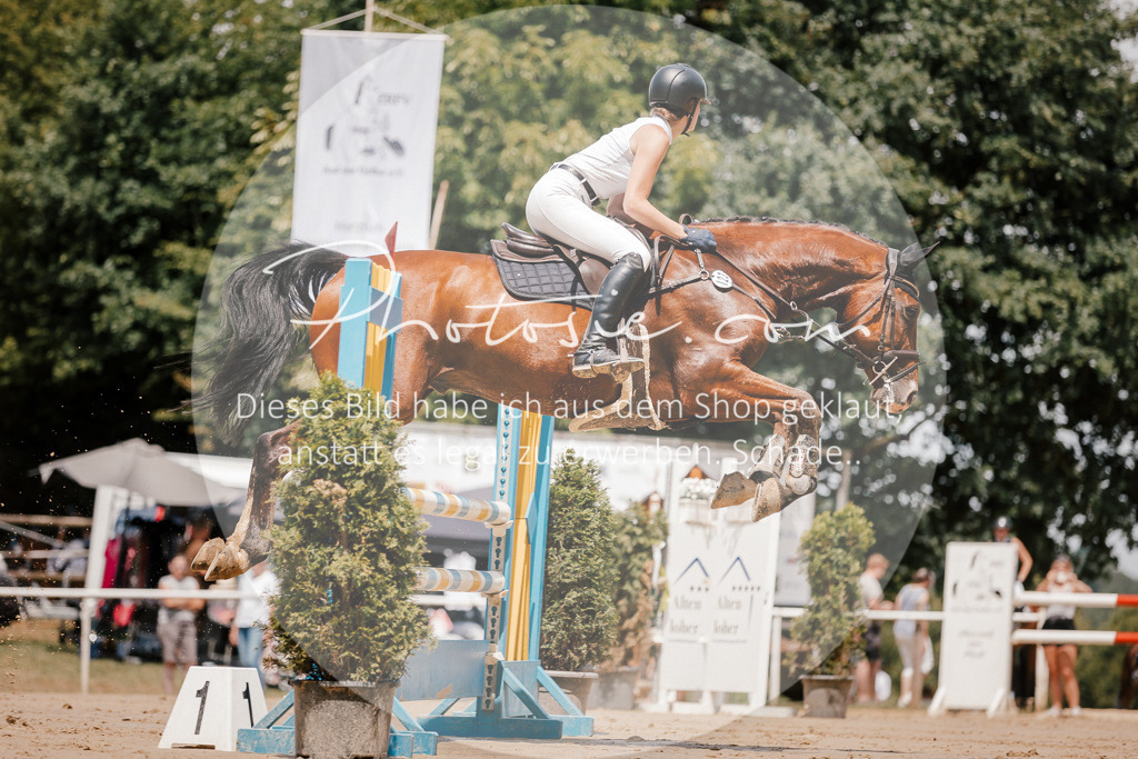 3I6A7813 | Stimmungsvolle Portraits und Reitsportfotografie im Ruhrgebiet und im Münsterland.

Pferdefotografie, Hundefotografie, Tierfotografie, Reportagen, Portraits von Tier und Mensch, Turnierfotografie in Bochum, Recklinghausen, Marl, Haltern am See, Dülmen.. - Realisiert mit Pictrs.com