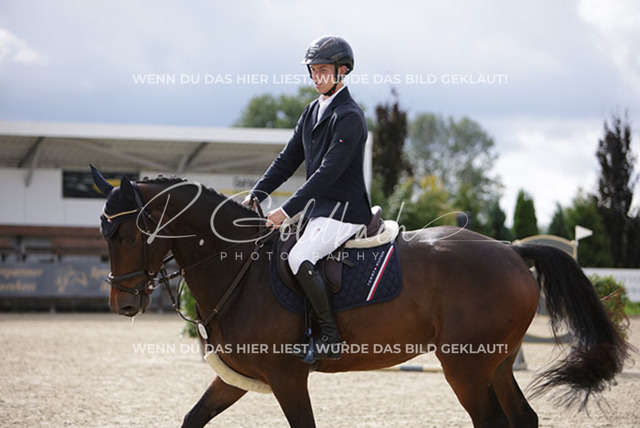 1J2A0836Mathies Rüder_ Kasa Kasa_ Kn574_ Havekost | Foto- und Videografie für alles rund ums Pferd. Hochwertige Bilder und Videos vom Spring- und Dressurreiten, Voltigieren & mehr. Jetzt aktuelle Veranstaltungen und Preise im Shop ansehen. - Realisiert mit Pictrs.com