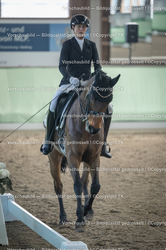 _D5A4358 | Emotionale Pferde- & People-Fotografie rund um Heidelberg, Leimen & Umgebung. Natürliche Fotos von Pferd, Mensch & Familie. Jetzt Termin sichern!