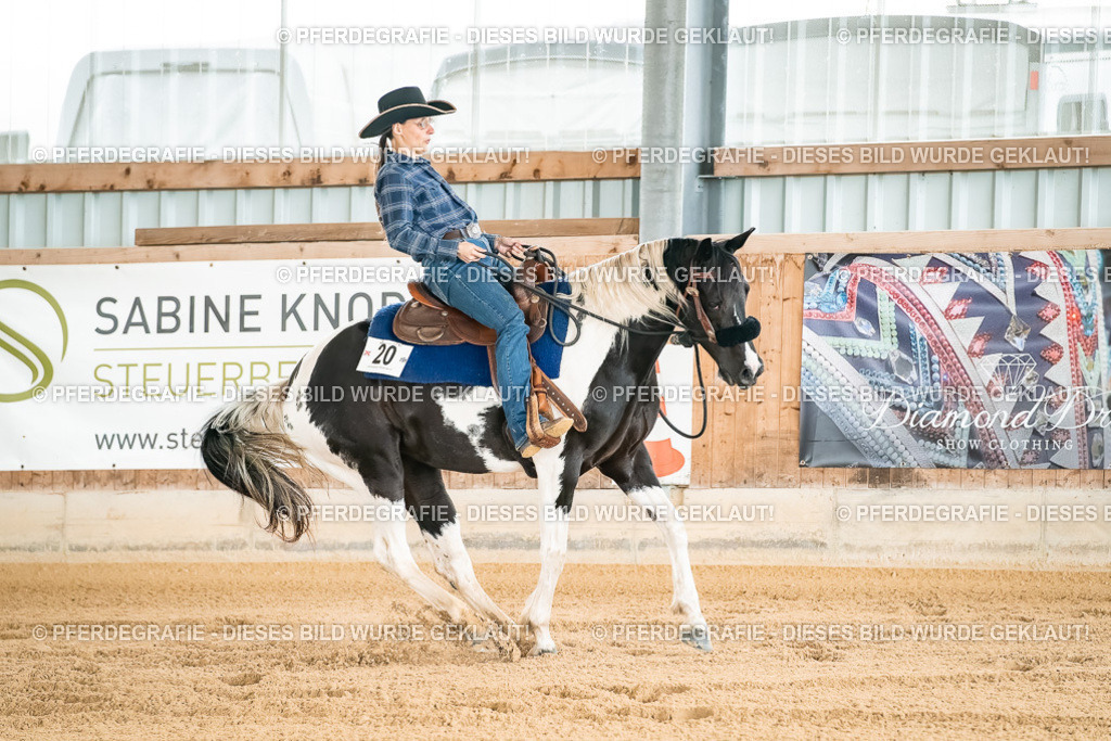 DSC02728 | Pferdegrafie