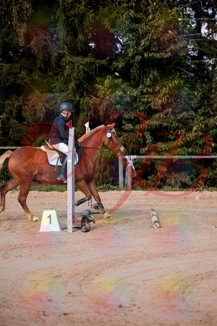 2026_10_03_Siefer-Hof_144624_Z81_22234300 | Professionelle Reitsport-, Turnier- und Eventfotografie von Robert Broda. Galerien mit ausgewählten und bearbeiteten Bildern direkt online ansehen und bestellen.