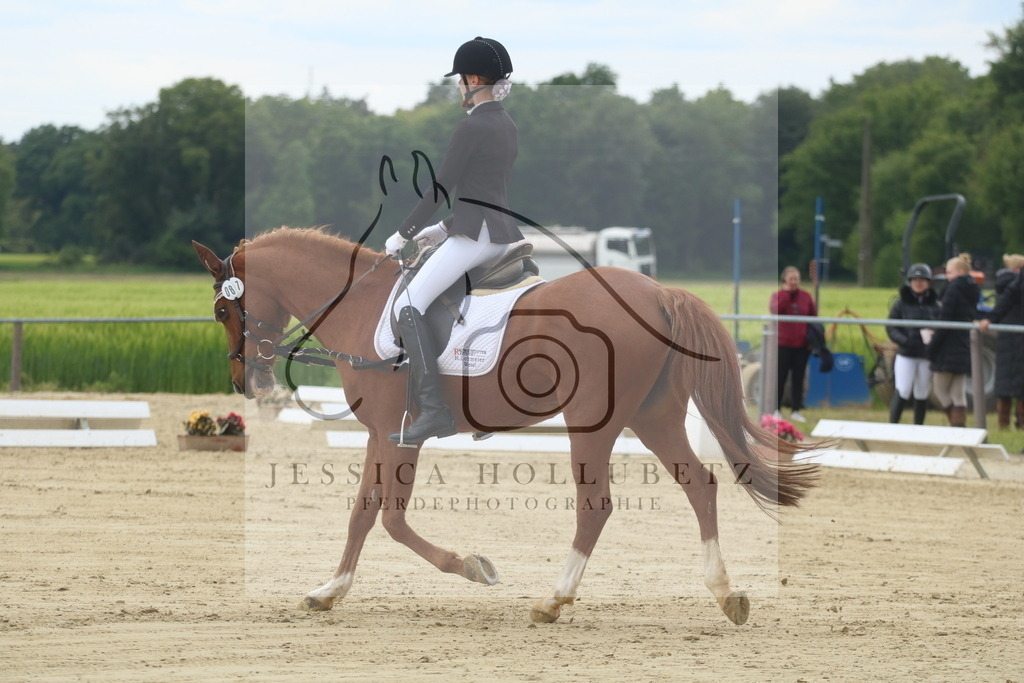 IMG_5035 | jessicahollubetz_pferdephotographie - Realisiert mit Pictrs.com