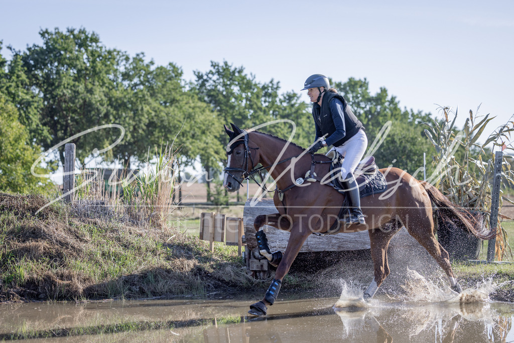 20260906-_3LI1264 | Tierfotografie Pferde, Hunde, Katzen, Haustiere.
Turnierfotografie Reitturniere, Reiten, Springreiten, Dressur in Hanau, dem Main-Kinzig-Kreis und dem Rhein-Main- Gebiet um Frankfurt