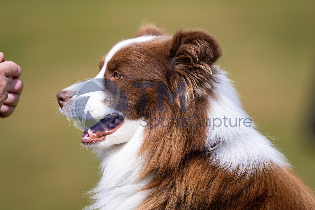 TP-20240815-0176 | Copyright: Trainproduction / Matthias Trinkl