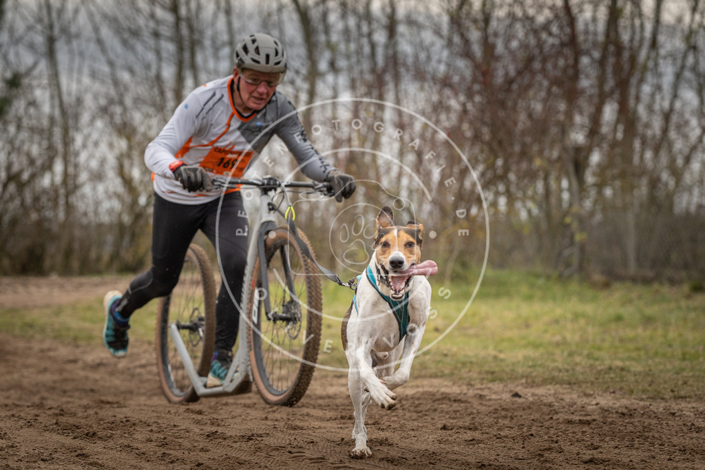 Pfotenfotografie_DV3A9776 | Hundefotografie, Tierfotograf, Pfotenfotografie, Fotoshooting Hund, Hunde Portrait, Hundesport, Hundeportraits, Heideshooting, Hunde, Sportfotograf, Hundefotograf, Turnierhundsport, THS,  - Realisiert mit Pictrs.com