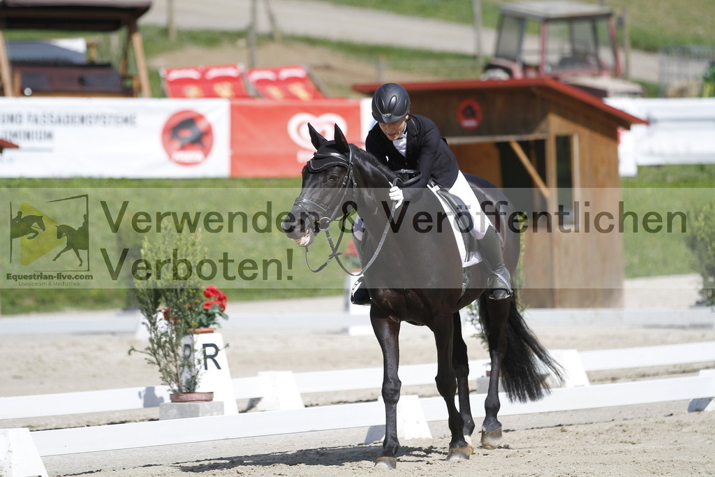 _MG_6746 | equestrian-live-com