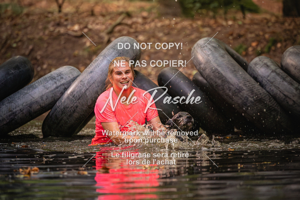 nelerasche_SaWingst0845-1000_43 | nelerasche