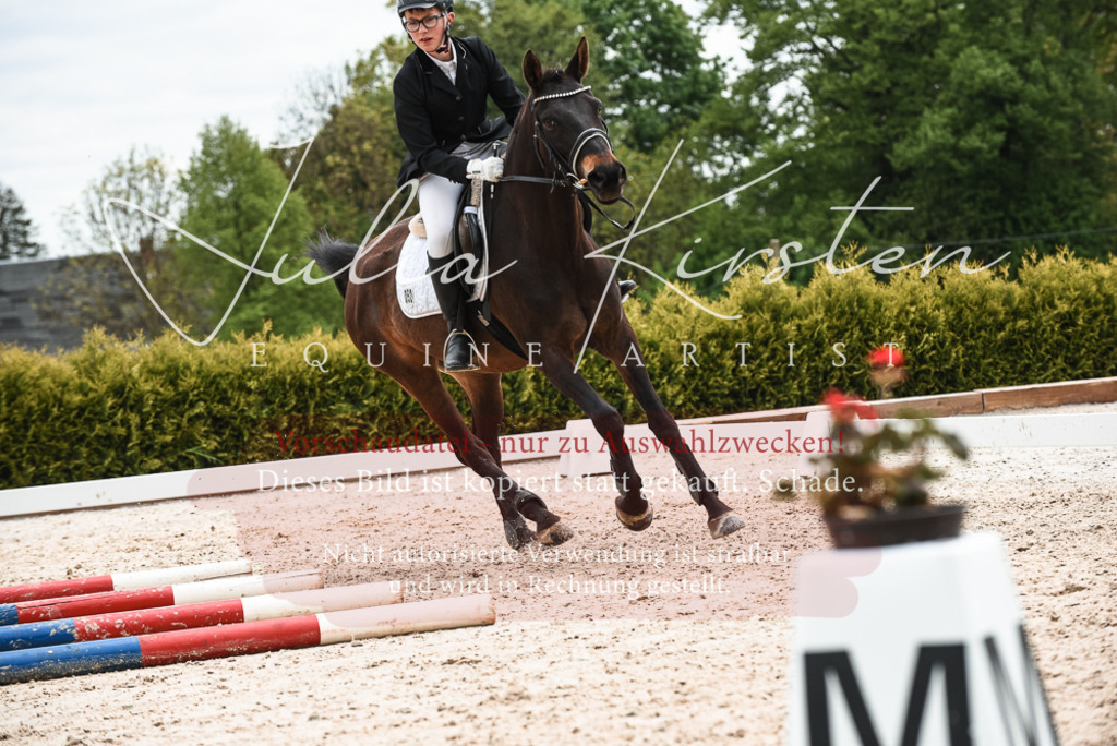 20230518_JK-Röhrsdorf-10-631 | Pferde- und Turnierfotografie in Westsachsen. Pferdeportraits, Auftragszeichnungen und intuitive Kunst.