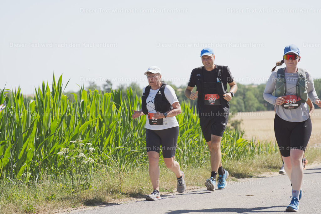 taubertal_trail_h_2026_09_09-242 | Shop für Fotos von Sportevents z.B. Obstacle Course Racing, OCR, Triathlon, Trail Run und MTB - Realisiert mit Pictrs.com