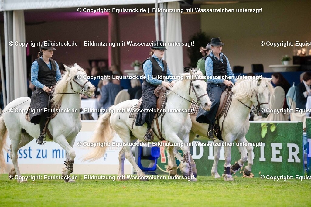 20250606_Lange-Pferdenacht_0653 | Foto: Thomas Hartig