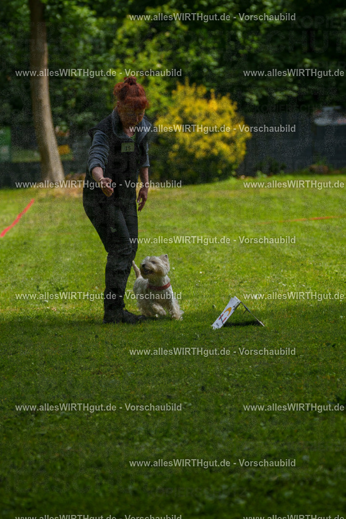@allesWIRTHgut_Tierfotografie - www.allesWIRTHgut.de - 7R503876 | Professionelle Tierfotografie in Mönchengladbach von Daniel Wirth (allesWIRTHgut). Liebevolle & natürliche Bilder von Hunden & Katzen für unvergessliche Erinnerungen.