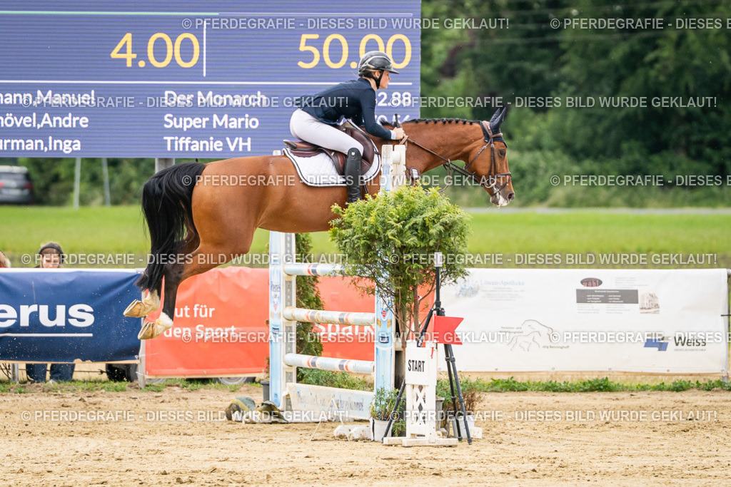 DSC06187 | Pferdegrafie