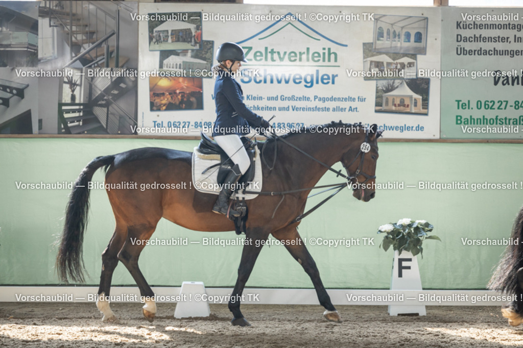 _D5A8930 | Emotionale Pferde- & People-Fotografie rund um Heidelberg, Leimen & Umgebung. Natürliche Fotos von Pferd, Mensch & Familie. Jetzt Termin sichern!