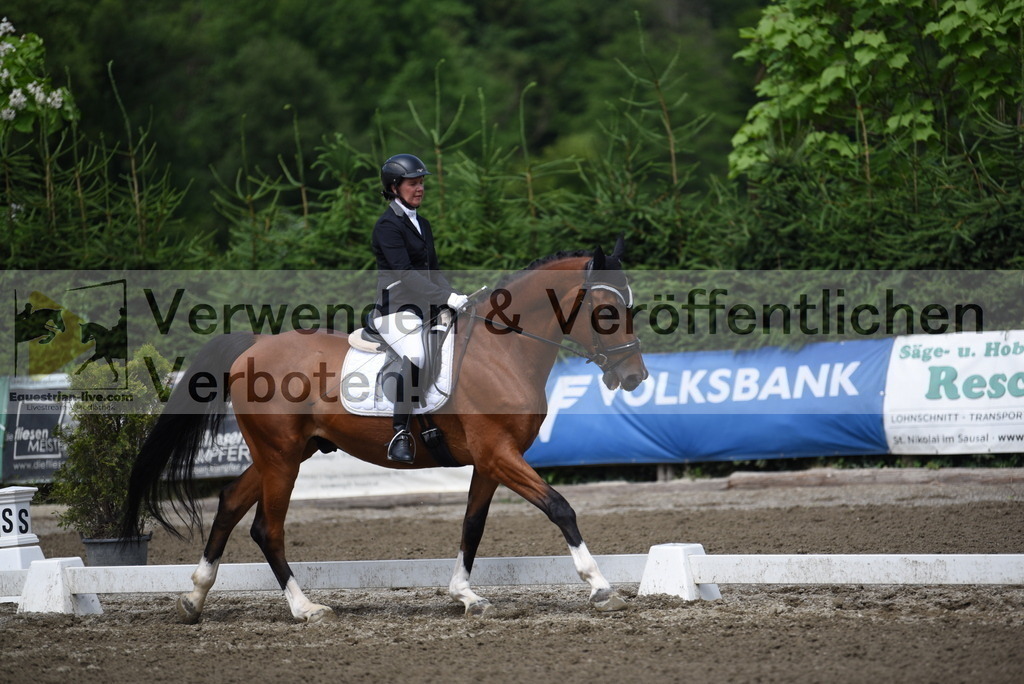 DSC_1072 | equestrian-live-com