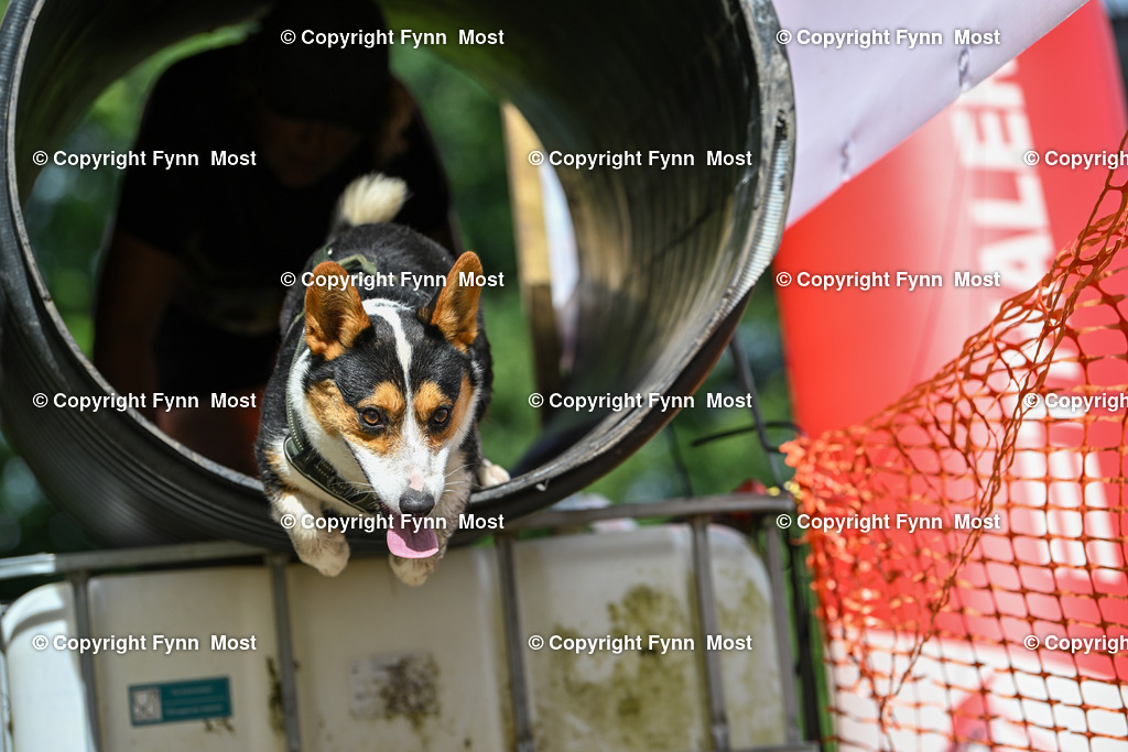 DSC_4352 | Hallo und herzlich Willkommen auf meiner Shop-Seite Fynn Most.

Ich wünsche Dir viel Spaß beim stöbern durch die Bilder, wenn Du Fragen hast oder Bilder vermisst, kannst du mir gerne eine Nachricht schreiben. - Realisiert mit Pictrs.com