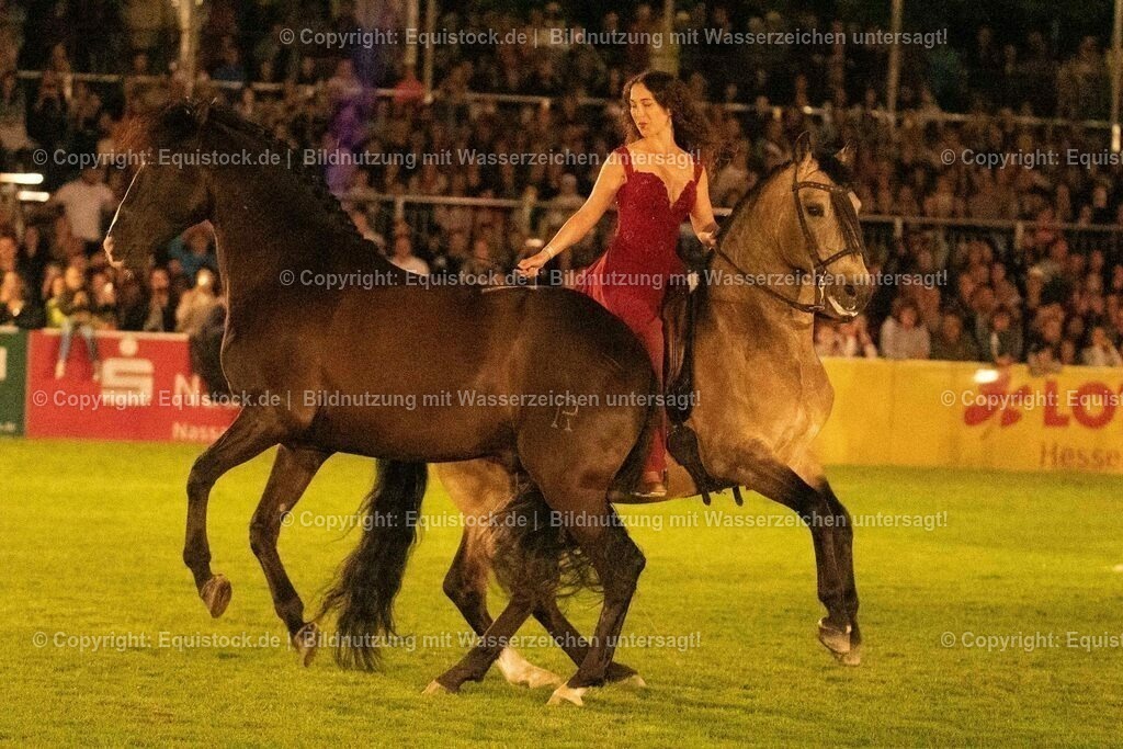 20230526_Pferdenacht_1432 | equistock