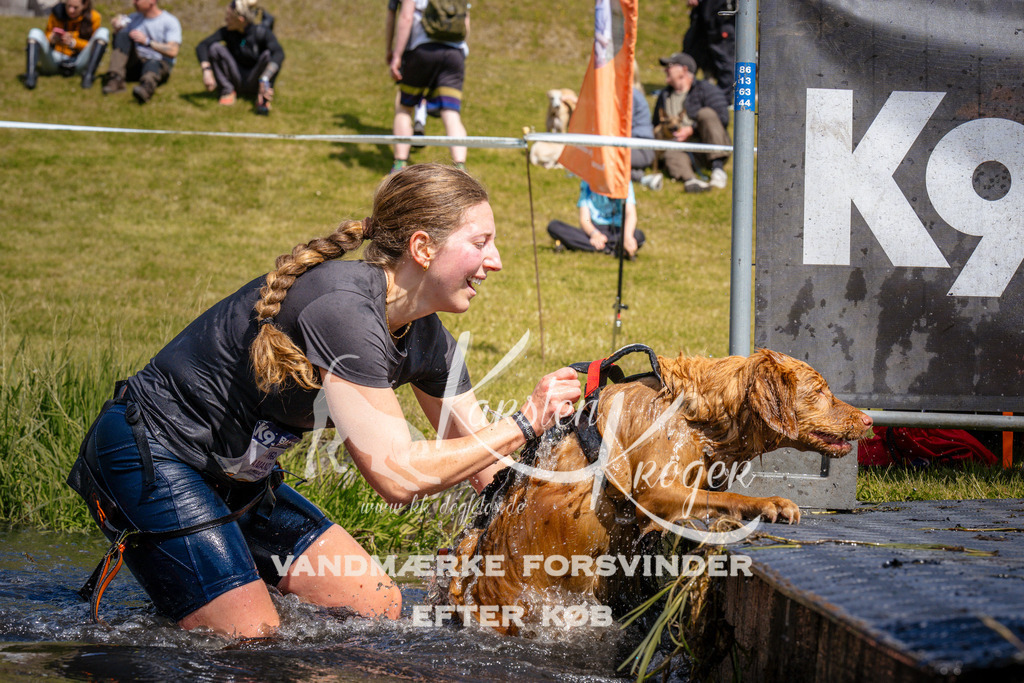 _ZZ961731014 | kk-dogfotos