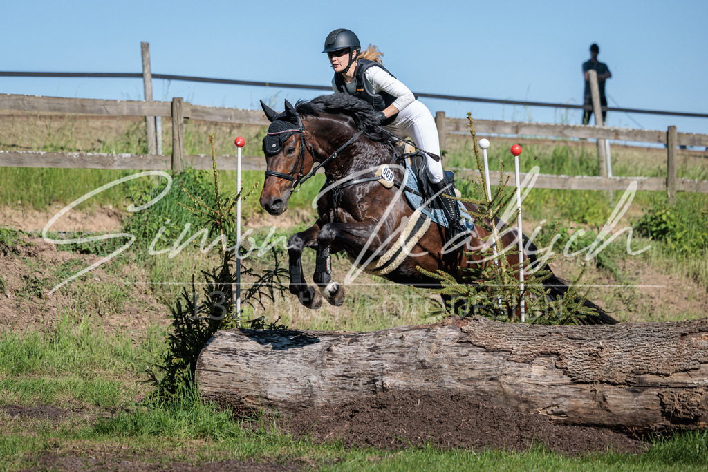 20260523-_3LI6315 | Tierfotografie Pferde, Hunde, Katzen, Haustiere.
Turnierfotografie Reitturniere, Reiten, Springreiten, Dressur in Hanau, dem Main-Kinzig-Kreis und dem Rhein-Main- Gebiet um Frankfurt