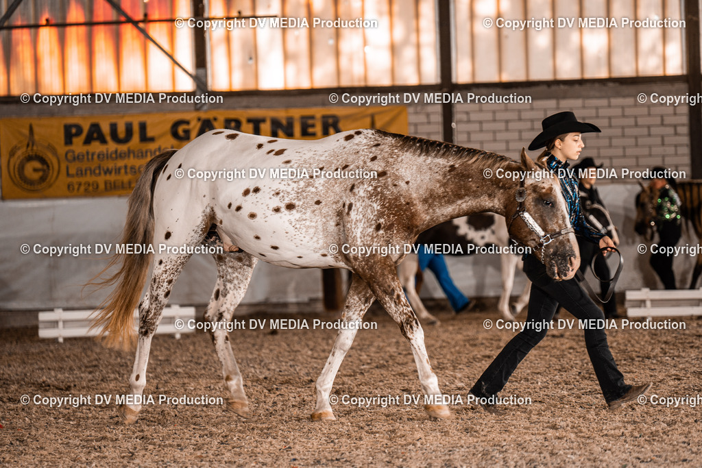 ZH100058 | dv-media-shop - Realisiert mit Pictrs.com