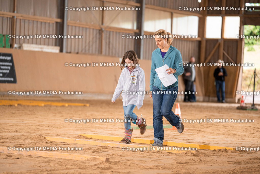 Losheim Tag 2-29 | dv-media-shop - Realisiert mit Pictrs.com