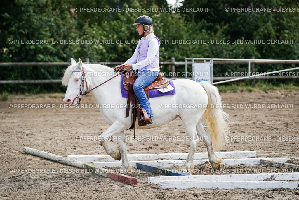 DSC07167 | Pferdegrafie