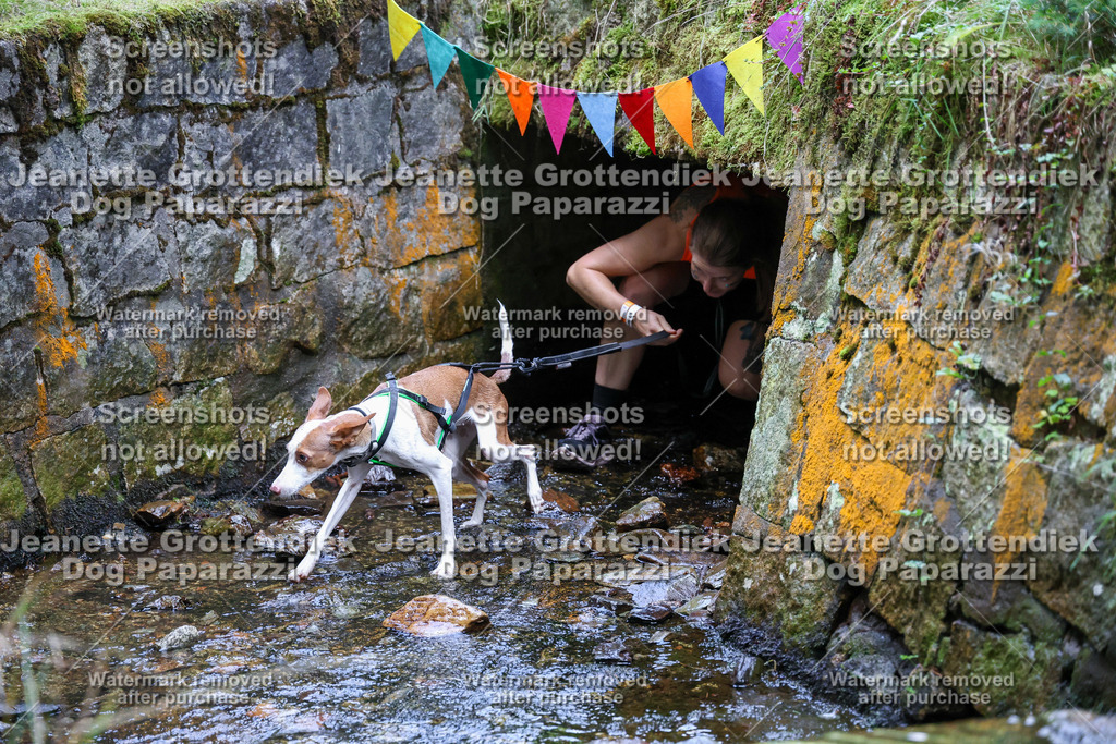 Dog Paparazzi -  TH 26-596 | Dog Paparazzi Jeanette Grottendiek Fotografie & Videografie - Realisiert mit Pictrs.com