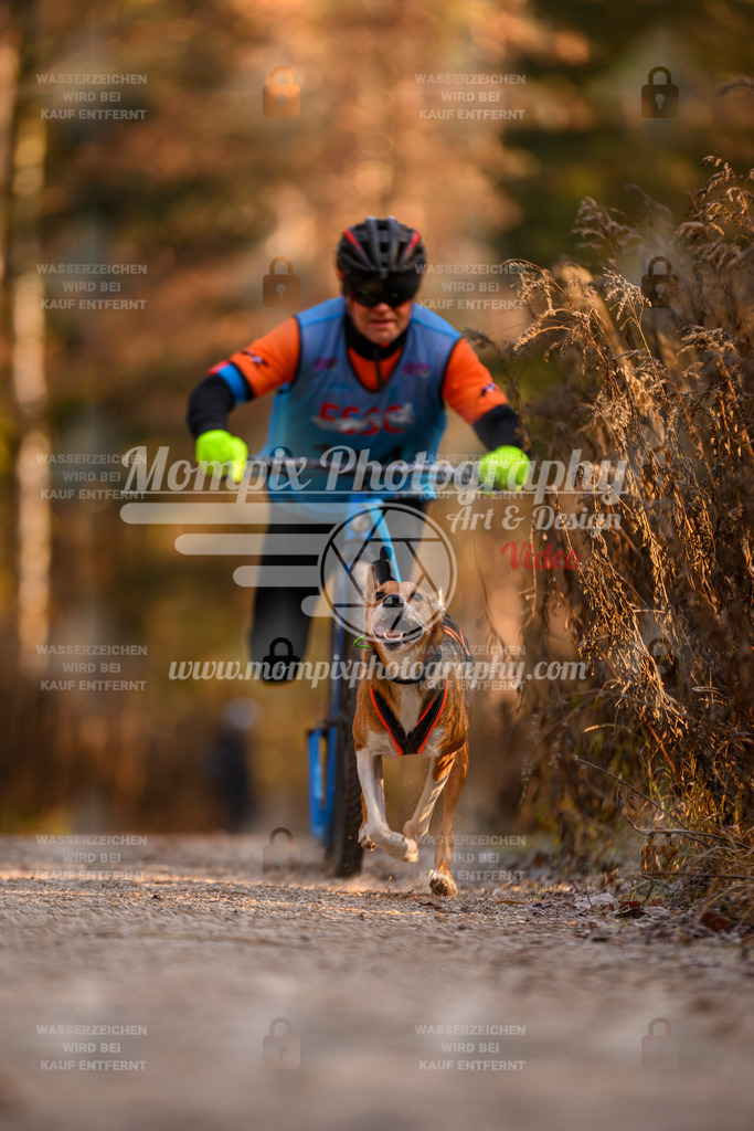 MompixPhotography_DM_AKDM_SO_2025_Scooter-217 | PayLife