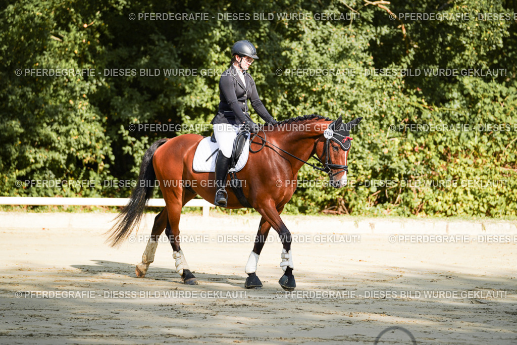 DSC07005 | Pferdegrafie