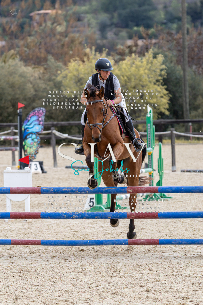 IMG_4033 | s-jay-photography - Realisiert mit Pictrs.com