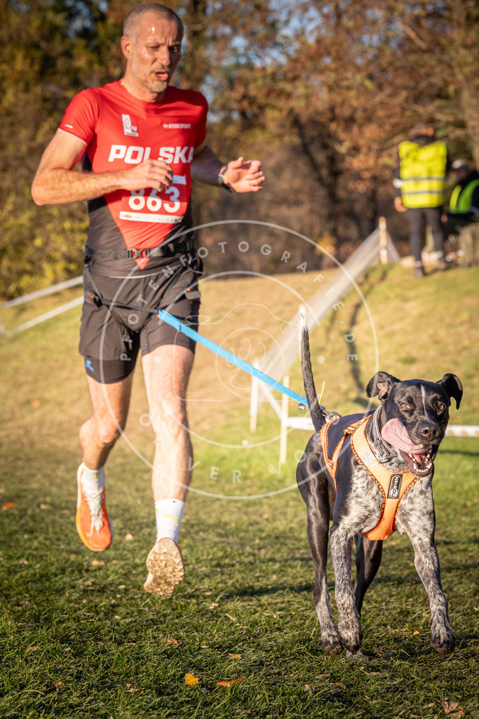 CaniXpix_0L8A1030 | Hundefotografie, Tierfotograf, Pfotenfotografie, Fotoshooting Hund, Hunde Portrait, Hundesport, Hundeportraits, Heideshooting, Hunde, Sportfotograf, Hundefotograf, Turnierhundsport, THS,  - Realisiert mit Pictrs.com