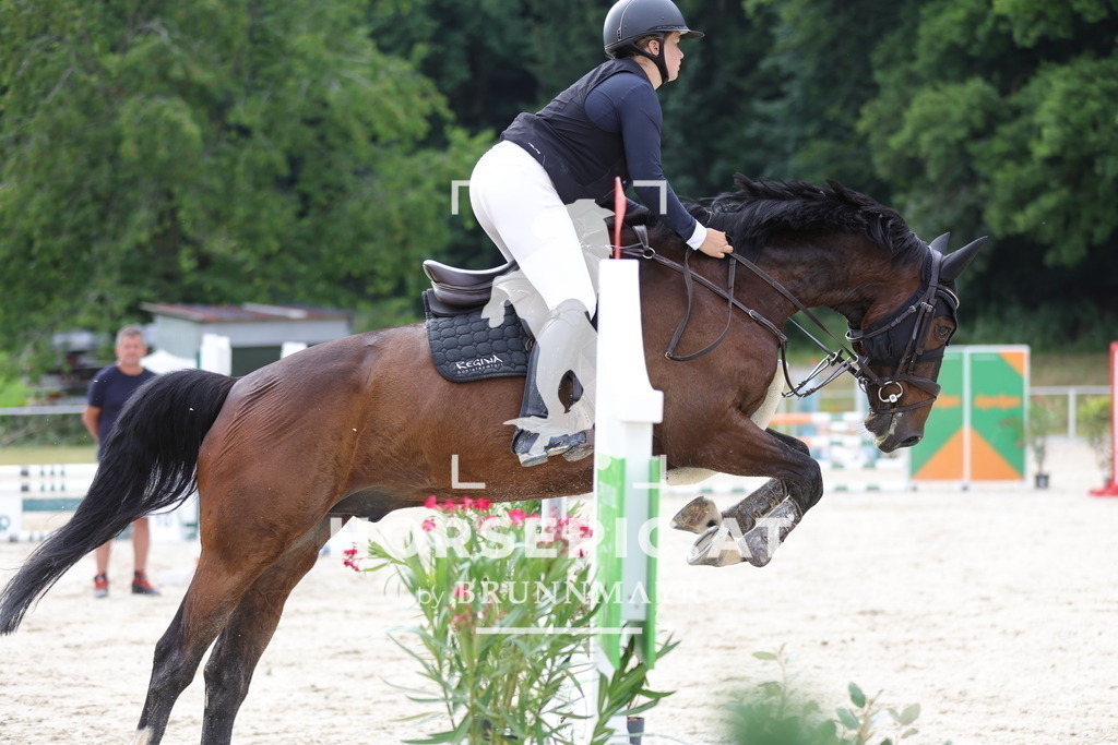 0P6A5595 | Willkommen bei Brunnmayr - Design & Fotografie – Ihrem Spezialisten für Reitturniere und Pferdeveranstaltungen in Oberösterreich, Salzburg und Bayern! Seit über 17 Jahren sind wir leidenschaftlich dabei.