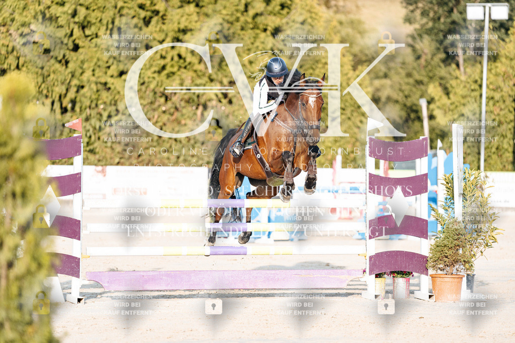 CK900773 | Turnierfotografie Pferdefotografie Trier Rheinland-Pfalz Pferdesport Reitsport Tierfotografie Sportfotografie Pferdevideo Pferdevideografie Equestrianvideography equestrianphotography  - Realisiert mit Pictrs.com