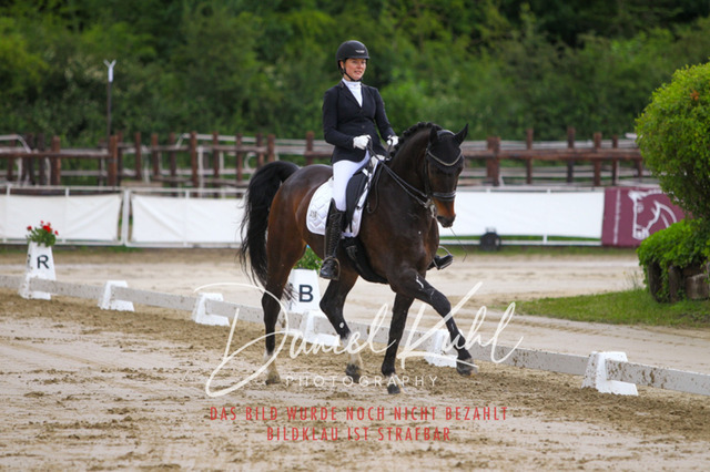 DKP47718 | Turniersportfotografie; Pferdefotografie; Dressurfotografie